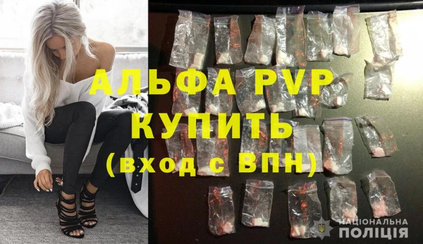гашик Нефтекумск