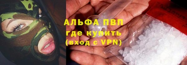гашик Нефтекумск