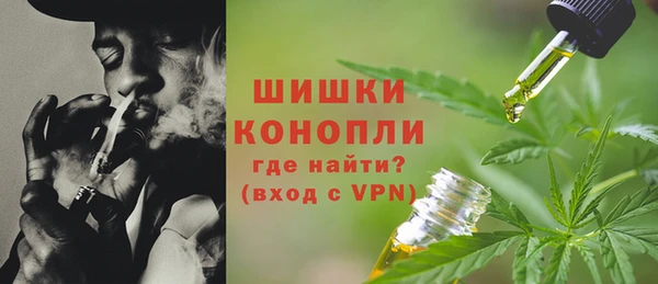 Альфа ПВП Аркадак