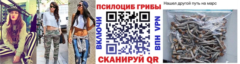 кракен сайт  Судак  Псилоцибиновые грибы Psilocybe 