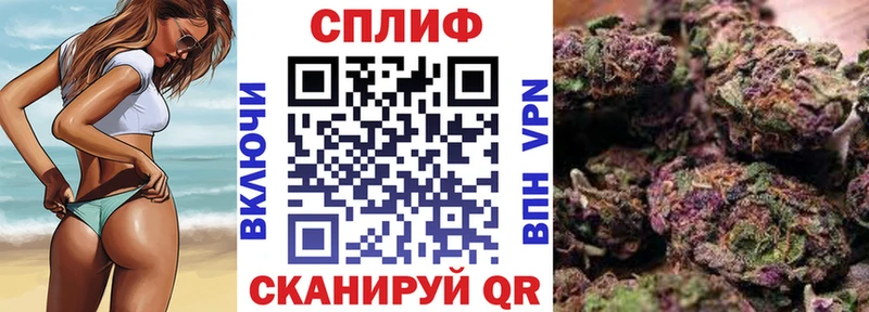 Шишки марихуана Amnesia  Судак 